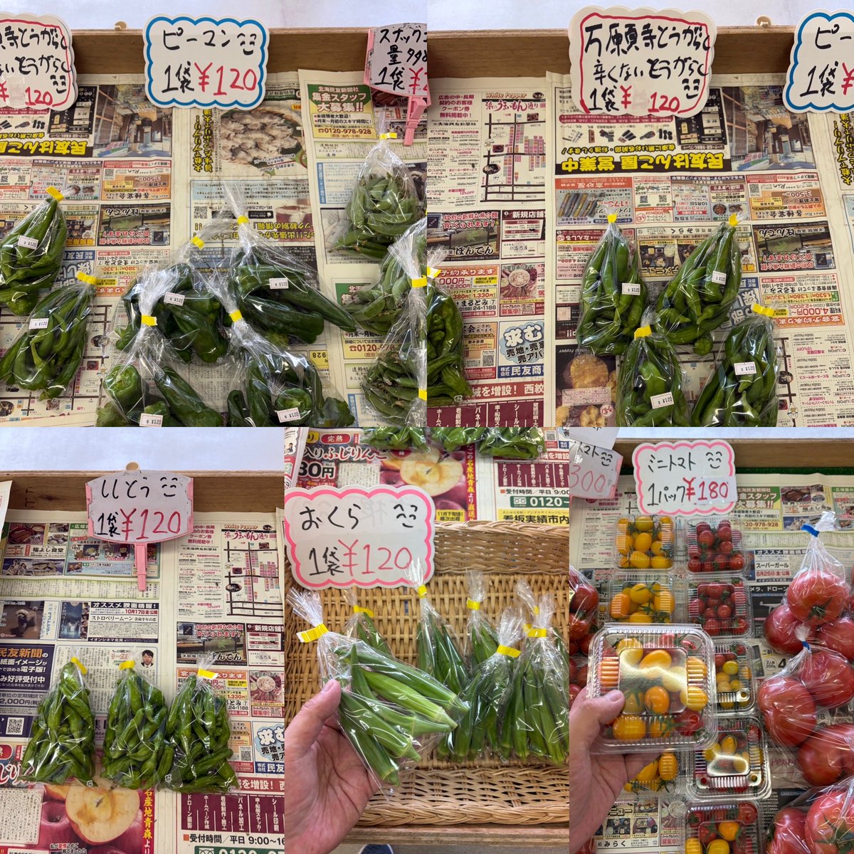 ryo4503's tweet photo. おはようございます
\( ´ω` )/🥒🧄🍅🥦
朝採りキャベツ入荷しました

朝10時ゆうゆう
野菜直売所開店です
商品のお問い合わせは
090-9438-1831にて
お願いします
#湧別
#野菜直売所
#野菜
#切り花

シソジュースなどに
#赤紫蘇

漬物 サラダなどに
#きゅうり

#トマト
#ミニトマト
#青しそ
#長ねぎ https://t.co/hKlpwWHcYj