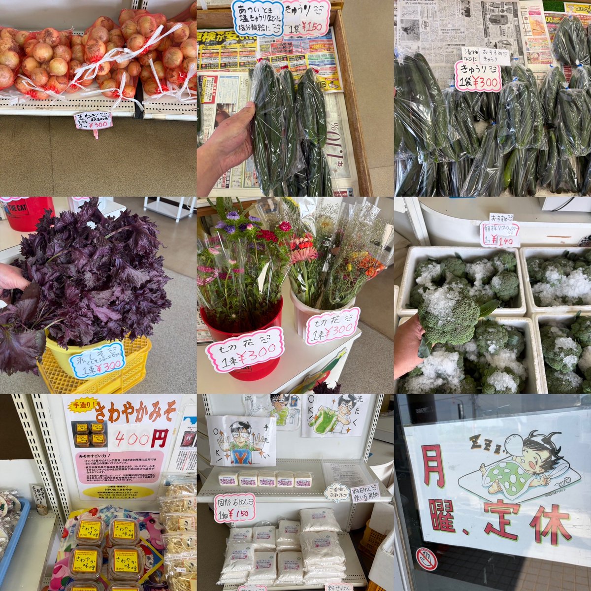 ryo4503's tweet photo. おはようございます
\( ´ω` )/🥒🧄🍅🥦
朝採りキャベツ入荷しました

朝10時ゆうゆう
野菜直売所開店です
商品のお問い合わせは
090-9438-1831にて
お願いします
#湧別
#野菜直売所
#野菜
#切り花

シソジュースなどに
#赤紫蘇

漬物 サラダなどに
#きゅうり

#トマト
#ミニトマト
#青しそ
#長ねぎ https://t.co/hKlpwWHcYj