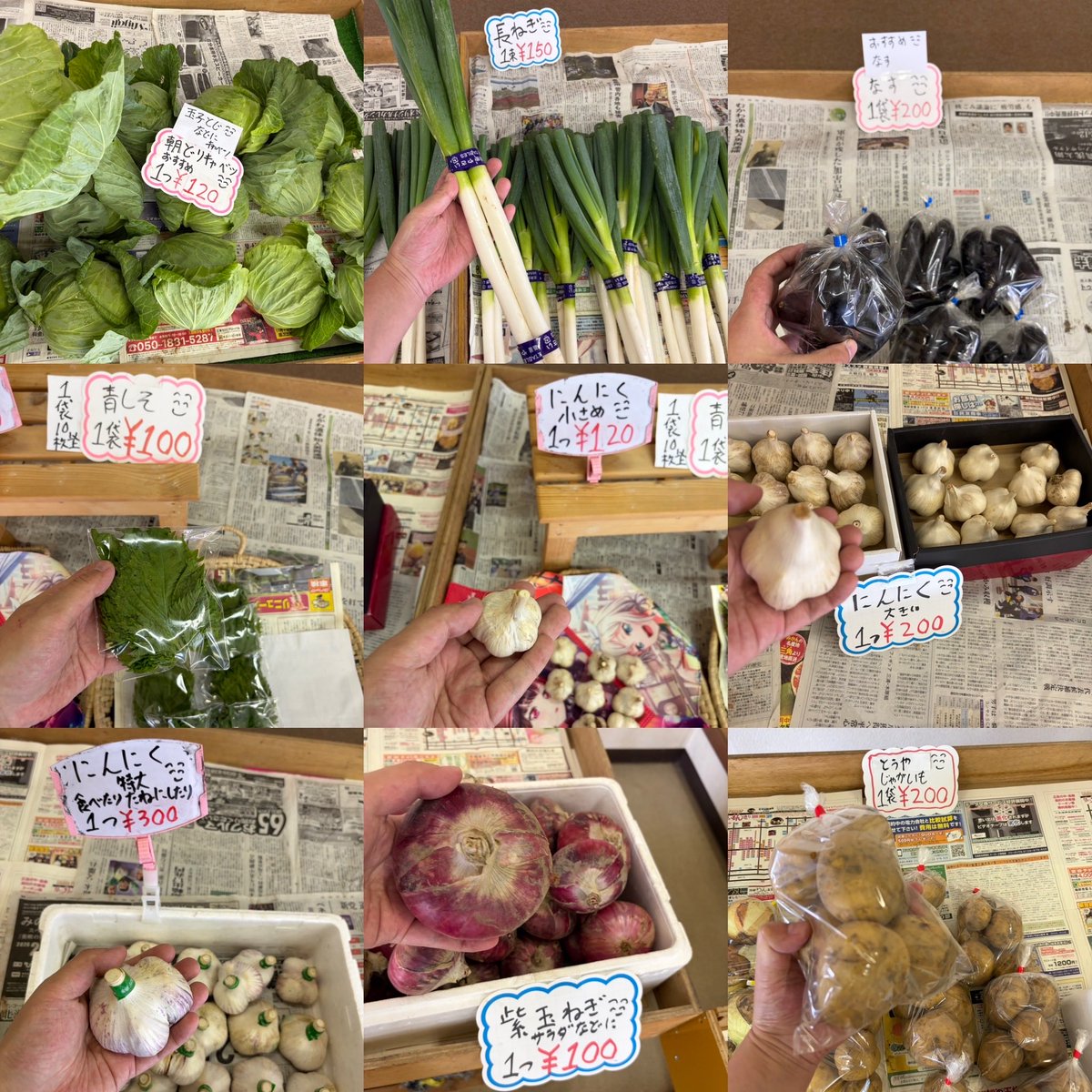 ryo4503's tweet photo. おはようございます
\( ´ω` )/🥒🧄🍅🥦
朝採りキャベツ入荷しました

朝10時ゆうゆう
野菜直売所開店です
商品のお問い合わせは
090-9438-1831にて
お願いします
#湧別
#野菜直売所
#野菜
#切り花

シソジュースなどに
#赤紫蘇

漬物 サラダなどに
#きゅうり

#トマト
#ミニトマト
#青しそ
#長ねぎ https://t.co/hKlpwWHcYj