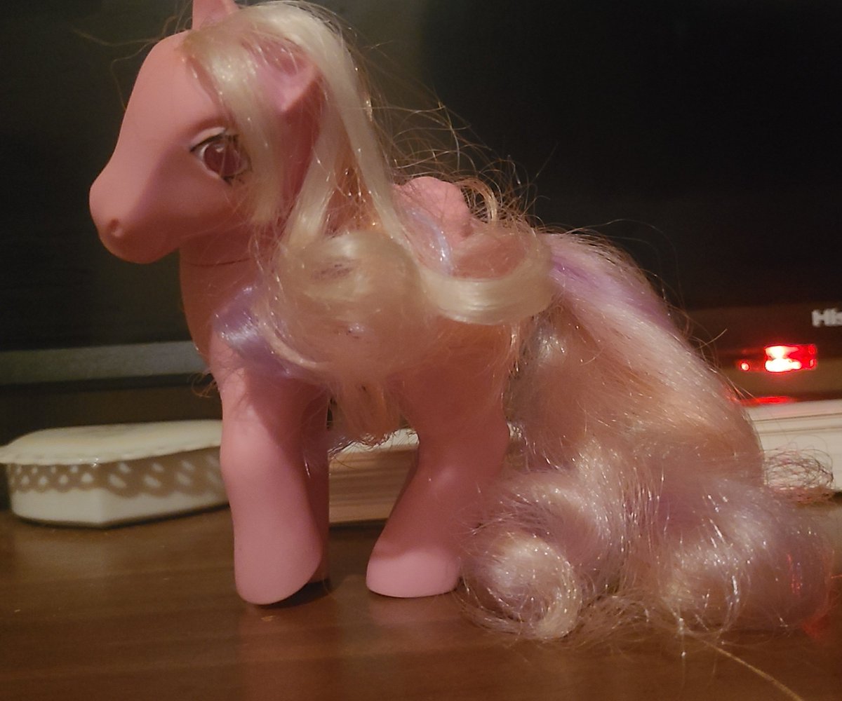 pixiepegasus's tweet photo. some of my ponies because im feeling sad about my shelves  the last one really talks she has a button https://t.co/OOKzGTNtm6