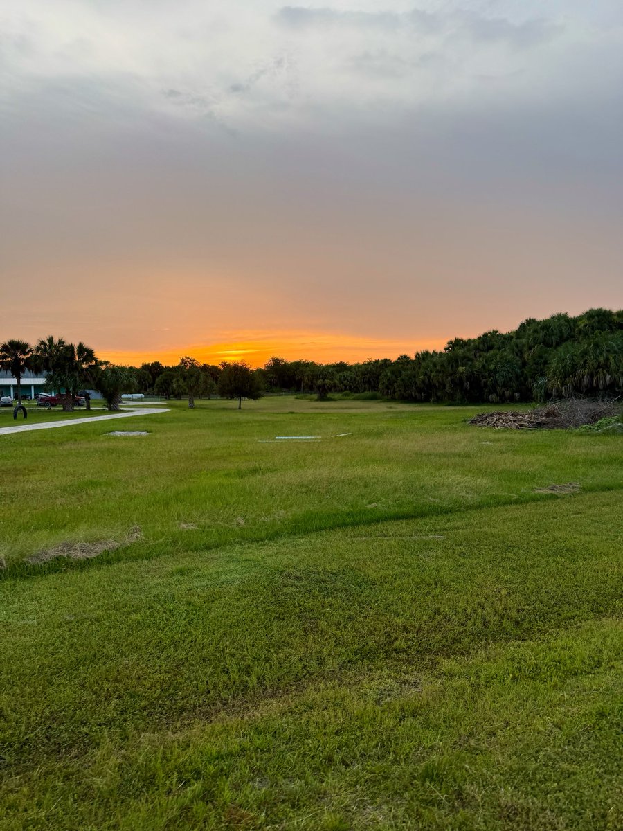 Offshore_Miner's tweet photo. Dont forget to touch grass every once an awhile https://t.co/PKkhagHaQZ