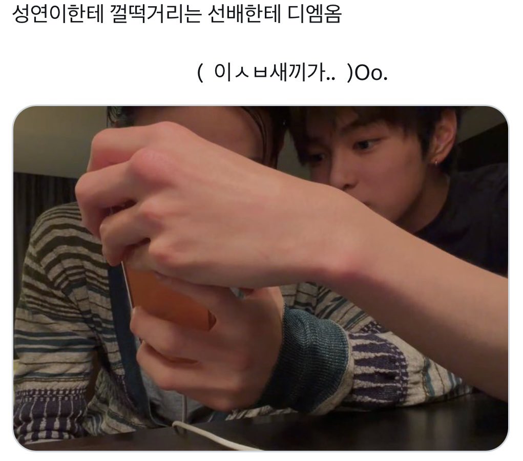 chuchubee55's tweet photo. 안사귀는 낭셩 https://t.co/GWFikKufby