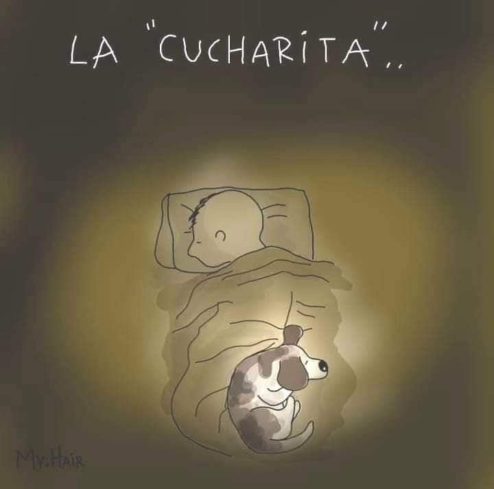 rey_latino33087's tweet photo. https://t.co/NmlIuNrQj1