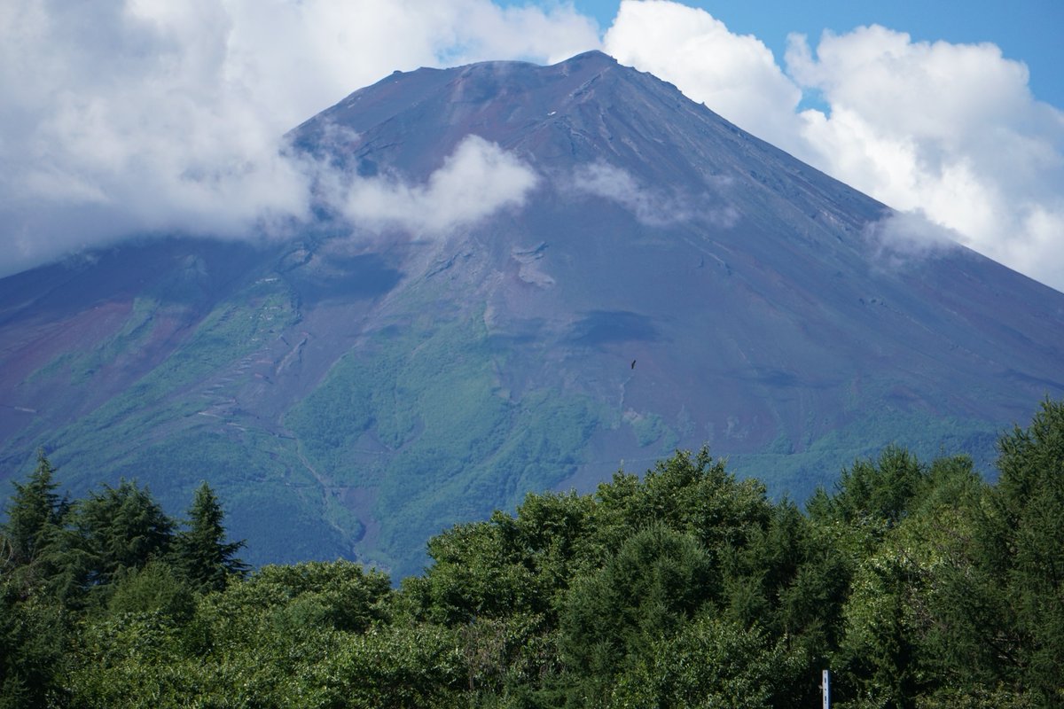 SSN_Yamato's tweet photo. 富士山🗻
富士急とのツーショット！ https://t.co/PG6RhA0kli