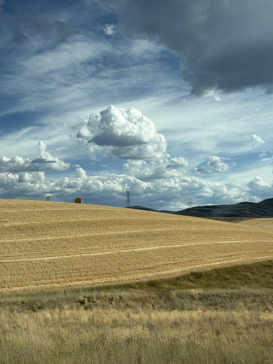 flannelmaxxing's tweet photo. You can just choose to take the long way home https://t.co/WI9z2VICTY