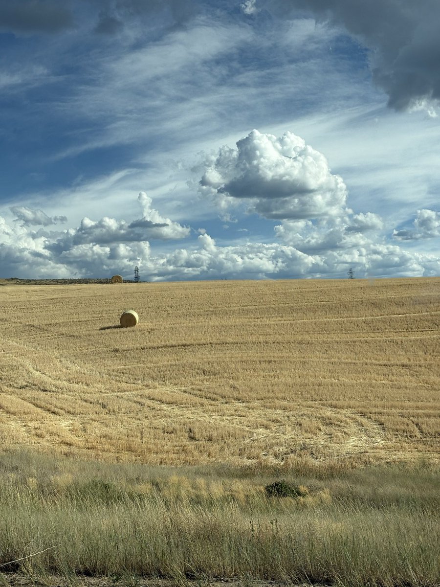 flannelmaxxing's tweet photo. You can just choose to take the long way home https://t.co/WI9z2VICTY