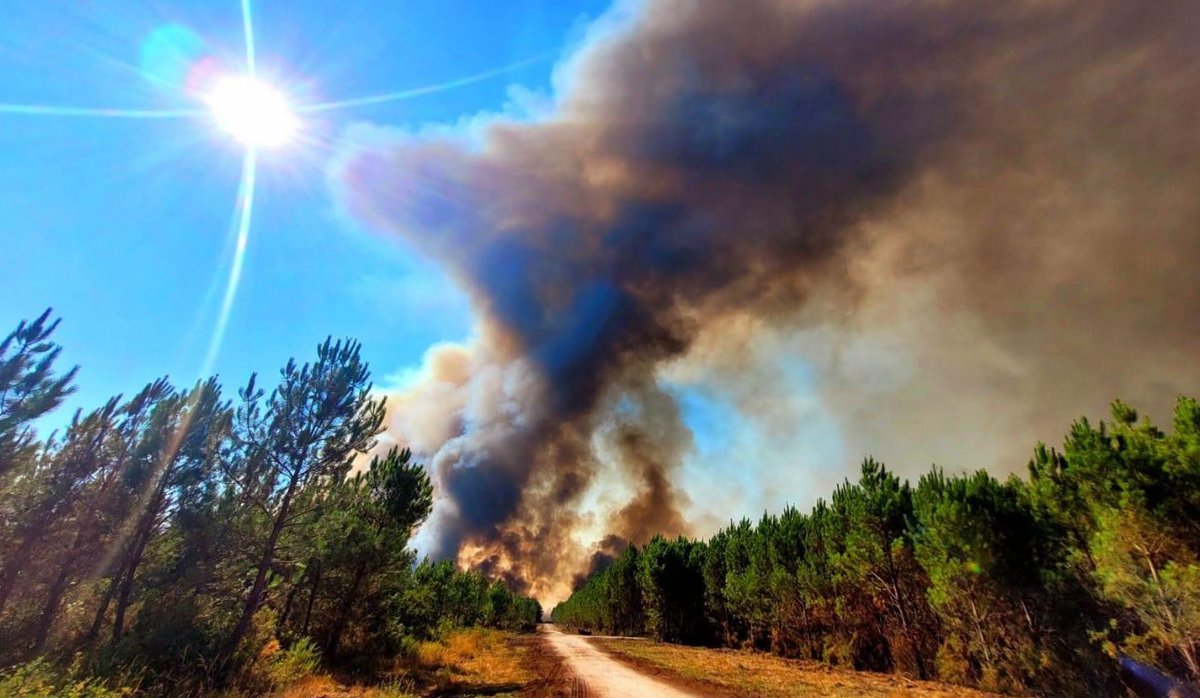 InfoBassin's tweet photo. Feu Saumos: Toujours non fixé. Revue détaillée... Voir https://t.co/3gTAH8pkYX
#bassindarcachon #feudeforet #andernos #ares #audenge #legecapferret #leporge #evacuation #bordeaux #marcheprime #mios #lebarp #arcachon #Incendiesdeforêt https://t.co/3Z9LvBch1E