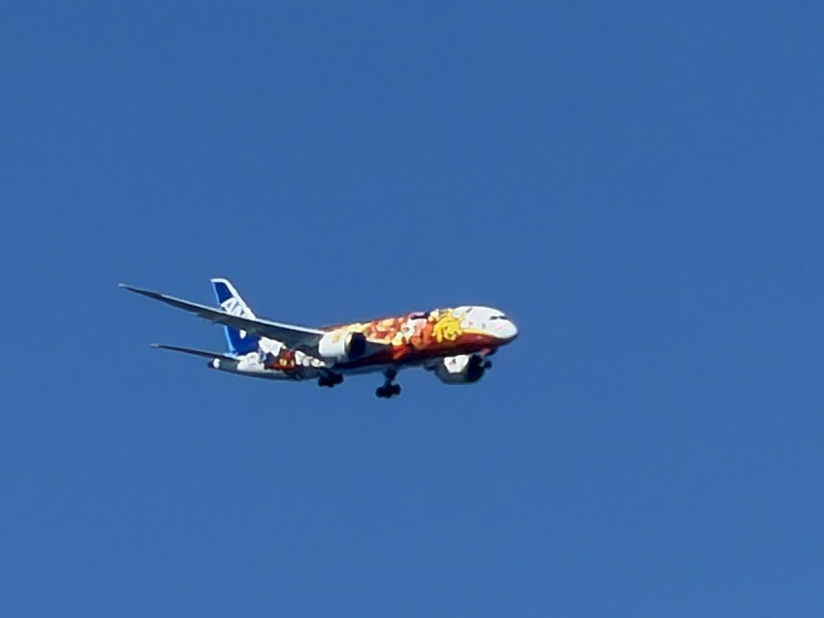Note9880's tweet photo. 旅行先の沖縄で偶然にもポケモンジェット見れました。明日、運良く伊丹便にならないかな…
#ポケモンジェット #沖縄 https://t.co/DkENyVCe8J