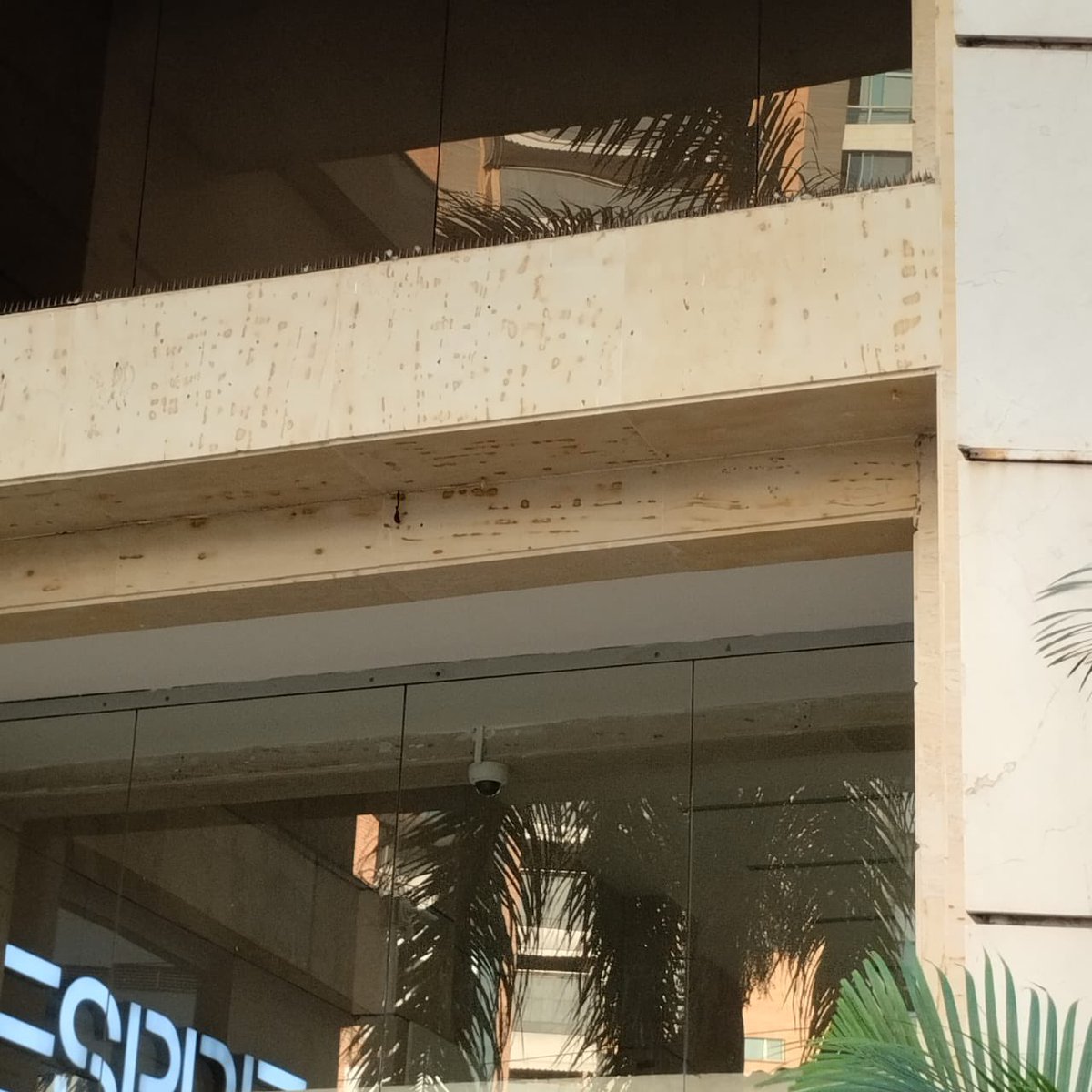 mapigaviria's tweet photo. NI PLAGAS, NI INVASORAS !!! 🐦 

Lo que están haciendo los Centros Comerciales Quinta Etapa y Cañaveral en el Area Metropolitana de Bucaramanga es sencillamente DESPRECIABLE 😠

Instalar BARRERAS CORTOPUNZANTES en las fachadas para hacerle daño a las PALOMAS y en general a cualquier ave que deba aterrizar ahí es MALTRATO ANIMAL, y las LEYES en Colombia lo castigan. 

A estos animales los explotamos en la guerra, en la alimentación, en las comunicaciones y de muchas otras formas, sin embargo, hoy les damos la espalda, las catalogamos cómo plagas y hasta se promueve su exterminio. 

Su sufrimiento en las ciudades es invisible: Mueren de hambre, envenenadas, golpeadas; las personas se molestan y asquean con su presencia. 

EMPECEMOS a ver estos animales cómo compañeros de ciudad, a quienes debemos cuidados, respeto y compasión. 

Exhorto a la *Quinta Centro Comercial y al *Centro Comercial Cañaveral a promover el aprecio y el cuidado de todos los animales, así cómo aprender a relacionarnos con está especie, no se puede manejar lo que no se conoce iPor eso la clave del manejo de esta especie sinántropica es, aprender a conocerla!  para darle un MANEJO INTEGRAL. 

@AnimalesBOG @andreanimalidad 
@laquintacc @CCcanaveral @Salud_Bga @interiorbga @CARCDMB @CamiMachado10_ @Cportilla40 @JoseFsanchezc @darcyquinnr @MONYRODRIGUEZOF @OrlandoBeltranQ @AlfonsoPintoFra @LaCIA_col @laredzoocial @AreaMetroBga