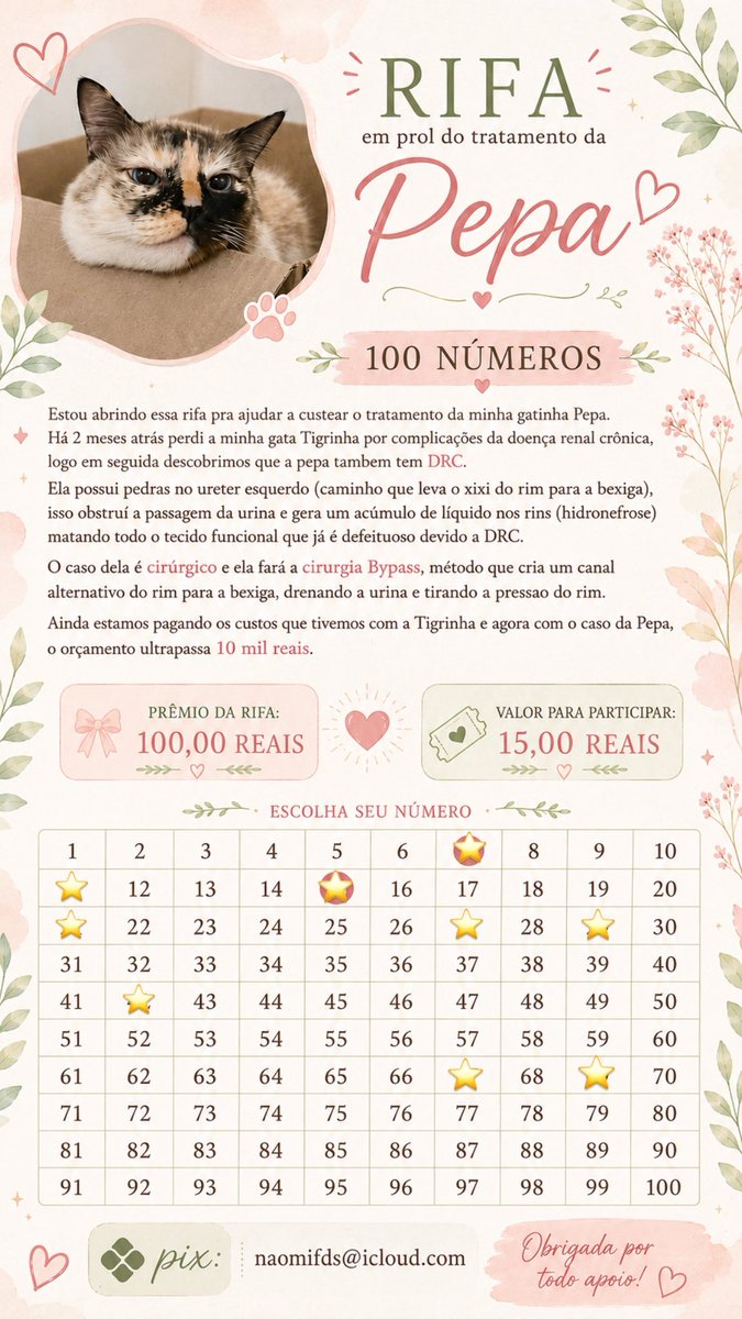maoniiss's tweet photo. 🚨 RIFA DA PEPA 🚨
abri uma rifa pra ajudar a custear a cirurgia da minha gatinha que tem DRC e está com obstruções, tem mais infos na imagem pq são poucos carácteres pra explicar

quem puder/quiser ajudar participando ou divulgando, agradeço muito :(

pix: naomifds@icloud.com https://t.co/P8yex3g1P6
