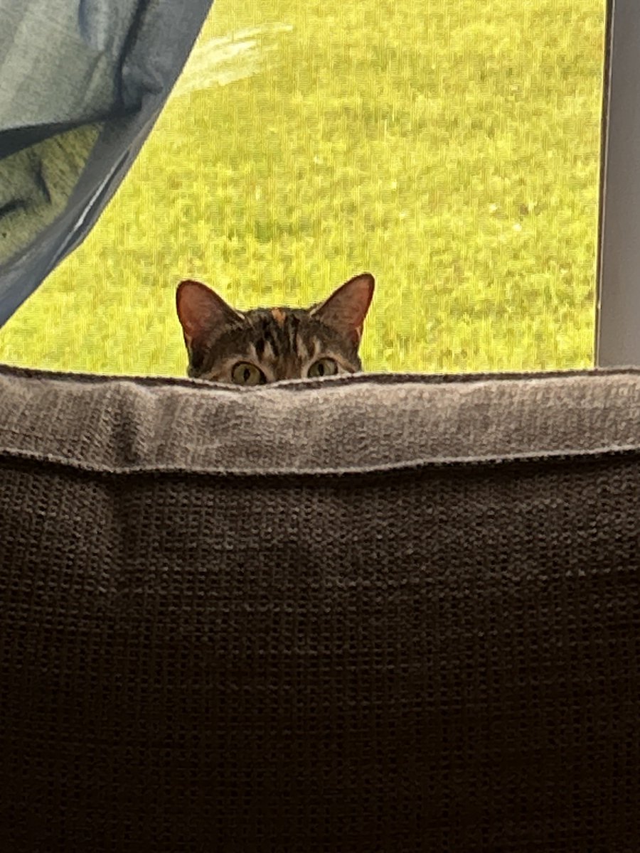 TherealSayton's tweet photo. @trumplicans2024 I always feel like someone is watching me https://t.co/akCgiu3rlL
