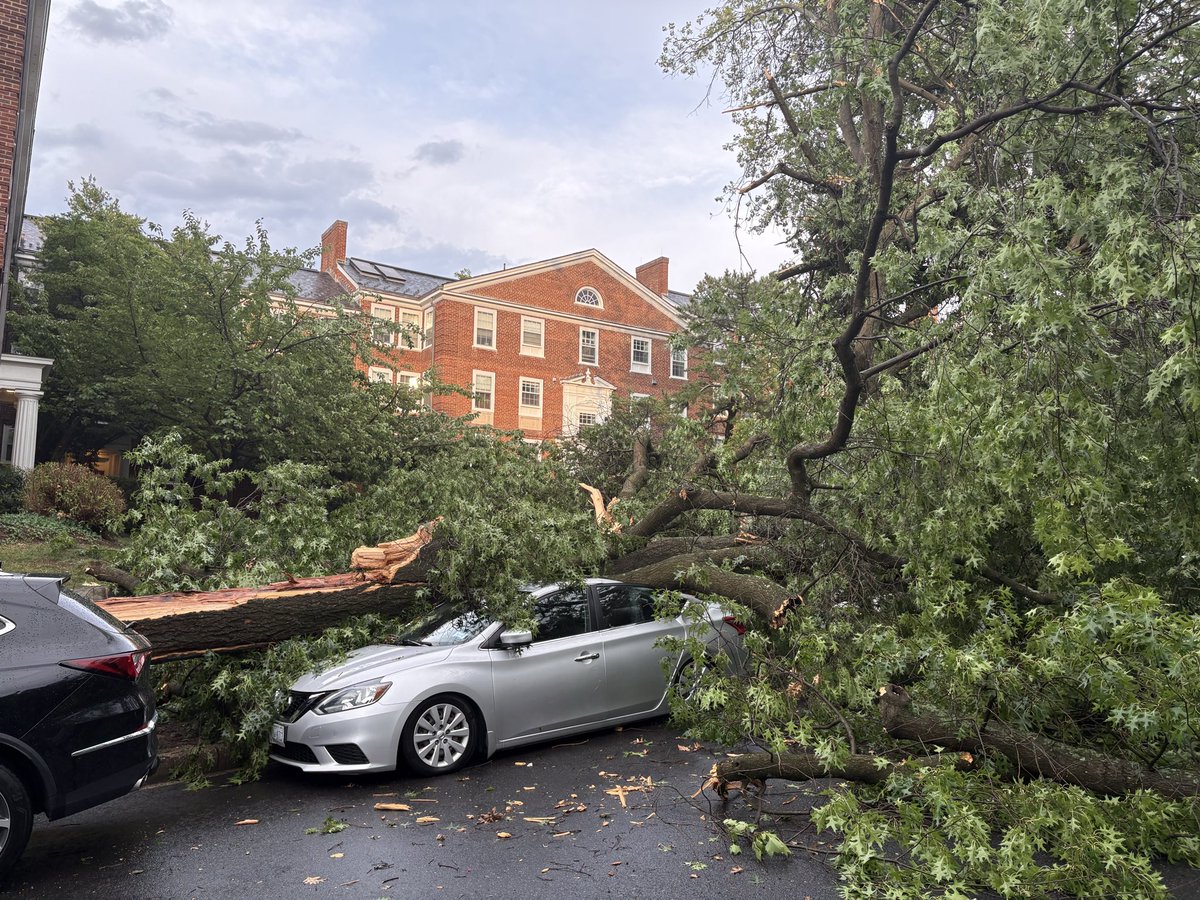 andrewgamble003's tweet photo. @dougkammerer McLean Gardens, NW DC https://t.co/xTgaHphZwk