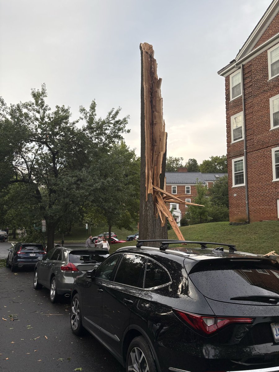 andrewgamble003's tweet photo. @dougkammerer McLean Gardens, NW DC https://t.co/xTgaHphZwk
