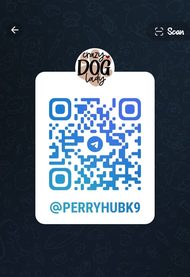 vicky9999650's tweet photo. Naughty boy 💦💦💦🍆💪🐶🐶
Send me a DM on telegram 
👇👇👇https://t.co/6osf4RQtHt

#Zoophillia #grope #pardi #zootwt https://t.co/bt9Si1Is66