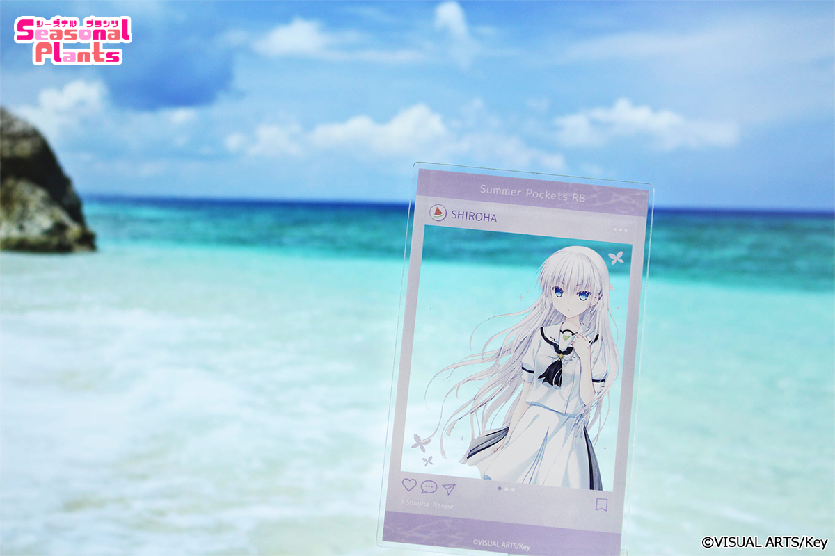 Summer Pockets REFLECTION BLUE』より、 各種グッズが販売中！ ぜひ