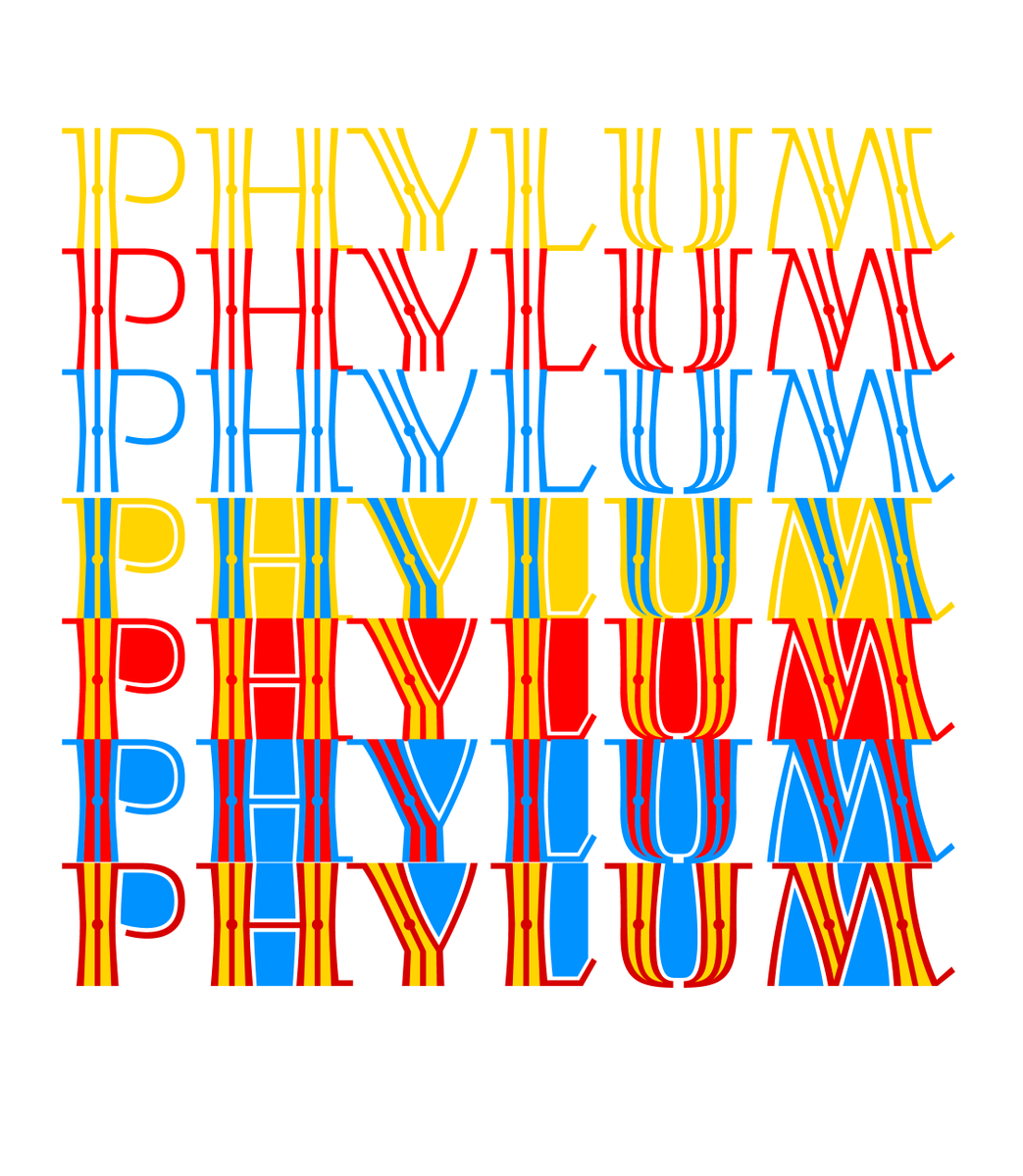 cocijotype's tweet photo. Meet Phylum!
An Art Deco-inspired display typeface available as both a layered and a color font.
Create your own color combinations with three individual layers or choose from eight built-in color palettes.
Now available with 30% off.

#typography #colorfonts #cocijotype https://t.co/GM4TymneAP