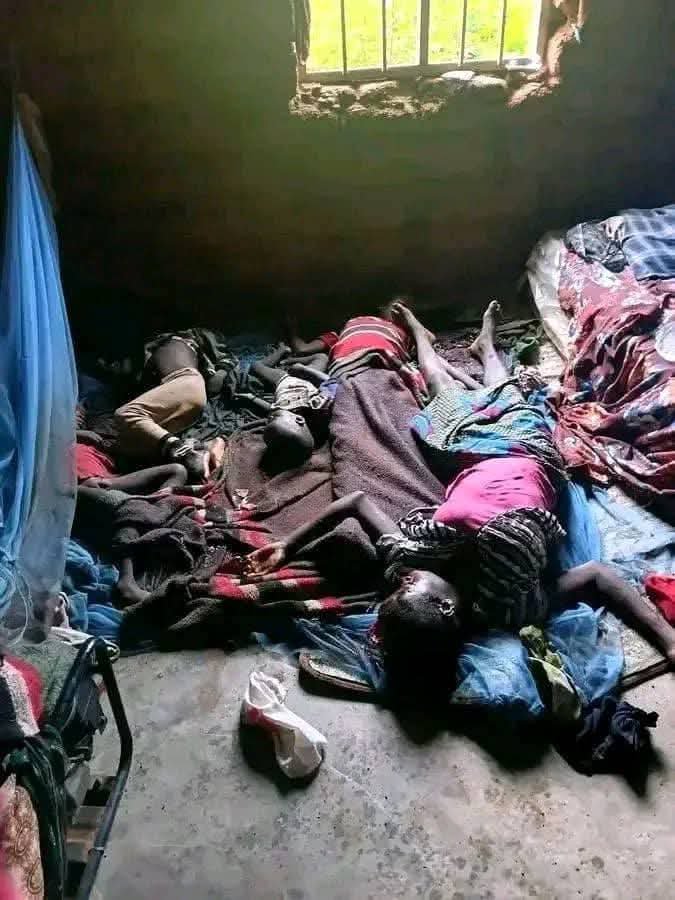 timmosion's tweet photo. In less than 2 days 45 lives gone, taken by some Jihadist and we are not at war.

Religion of those people?

YES Christians.

Last week 20 Hausa Muslims who the extremist see's as kafir for not join their Jihad were taken as well.

Iran and Israel war does not record such daily https://t.co/CFKvIdg57x