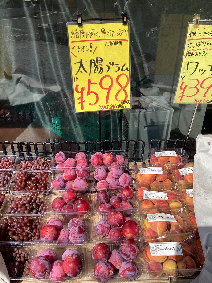 fruitfruit08's tweet photo. おはようご���います☀
店員イチオシ‼️太陽プラムをご紹介致します😎✨
糖度が高くて酸味が少なく、果汁がたっぷり入っています‼️
熟すと酸味が抜けて、とても甘くなります😊💕
実が引き締まっているため、ほかの品種よりも日持ちしやすいのが特徴です✨
自分へのご褒美などにいかがですか？🤭 https://t.co/0s18Nql38S