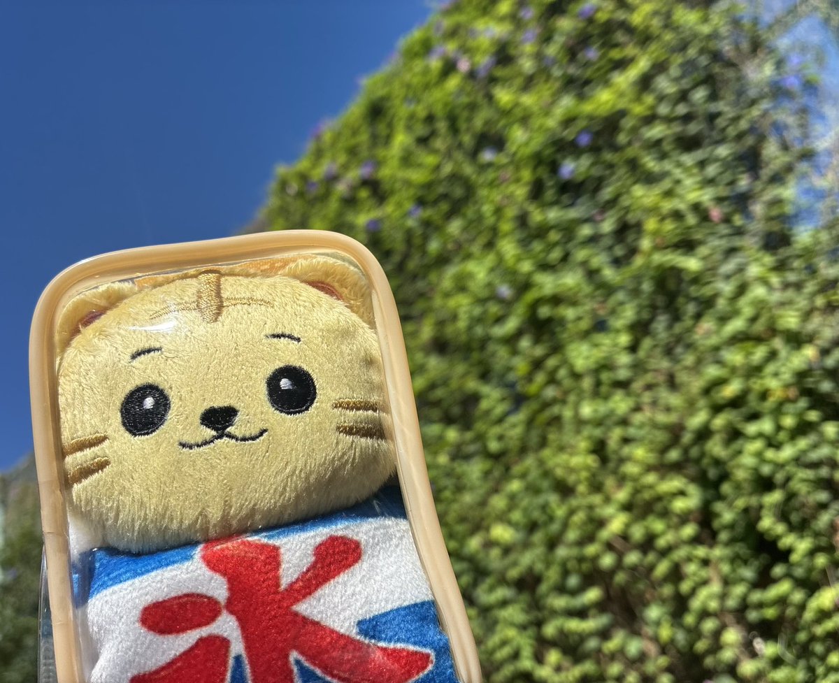 tiger_inc1940's tweet photo. おはようございます！

本日の千代田区お天気は晴れ☀️
とらのすけ、新衣装です(*´∀`*)

今日は #福神漬けの日 🍛
カレーのお供といえば福神漬け！
皆さんは「福神漬け派」ですか？それとも「らっきょう派」ですか？🤔

本日も1日よろしくお願いします！

#企業公式が毎朝地元の天気を言い合う https://t.co/lquK9zZu6b