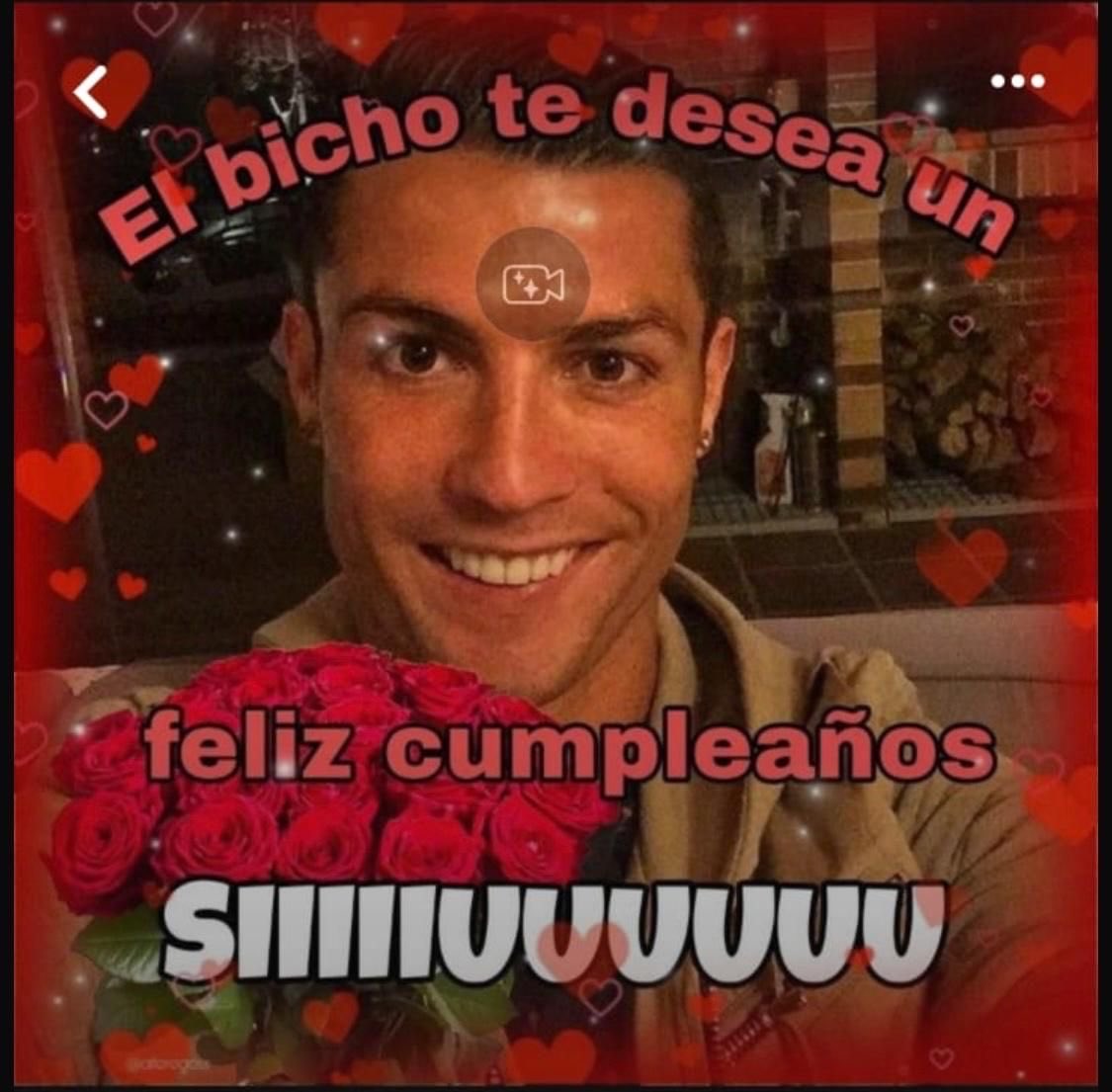 Ingiustavanita's tweet photo. @irlolitadoll Vamos q si se puede Miniii (es la única foto cute q tengo sorry) https://t.co/BLwB5tbKRx