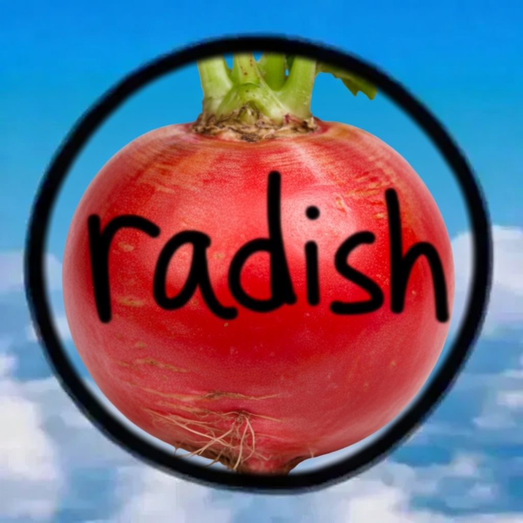 diasy_99's tweet photo. $RADISH up +1742% in 21m ⚡

𝗕𝗨𝗬 𝗕𝗶𝗮𝘀 led by the crowd
🟢 BUY 55.53% · 5.1K TXNS

📈 𝗖𝗔𝗣 $67.6K · 𝗟𝗜𝗤 $8.5K

https://t.co/pdszrkFbYm debut, fresh momentum 👀

https://t.co/1La1mjpUbQ https://t.co/KFq4Hg049W