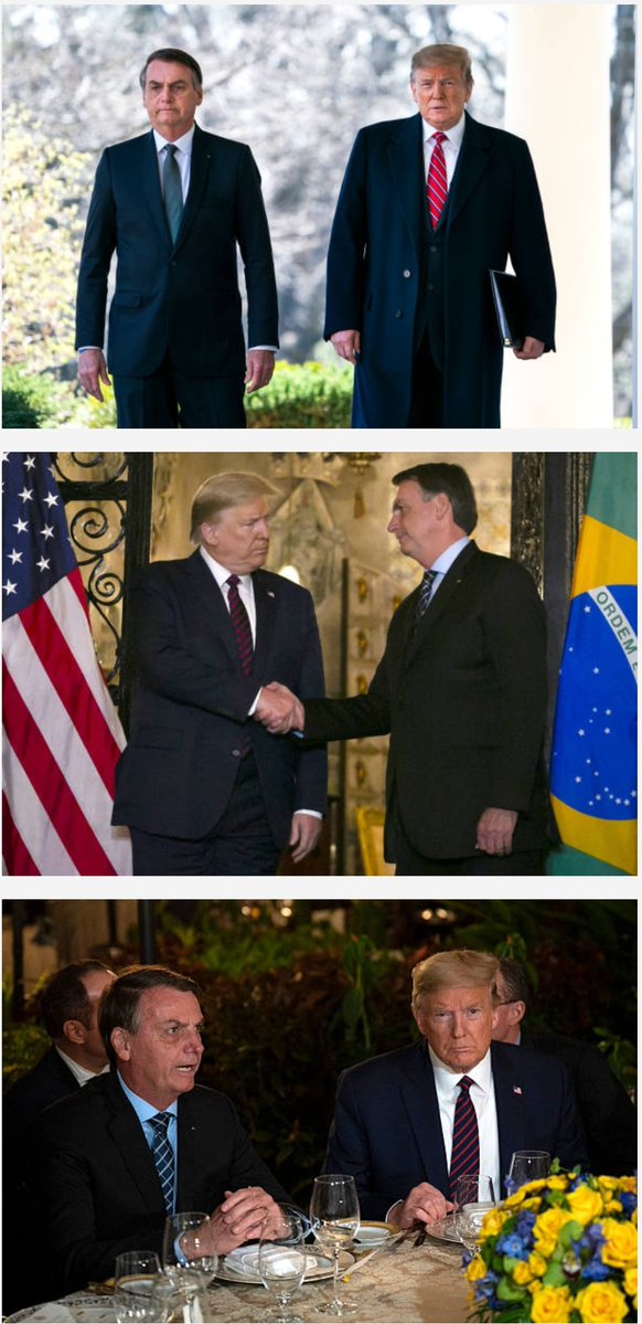 VanSchnaider's tweet photo. @DWirti A verdade aparece sempre!!
Bolsonaro sempre teve razão, comprou as drog4s mas não OBRIGOU ninguém a injet4r!! https://t.co/oJgBuv9x1I