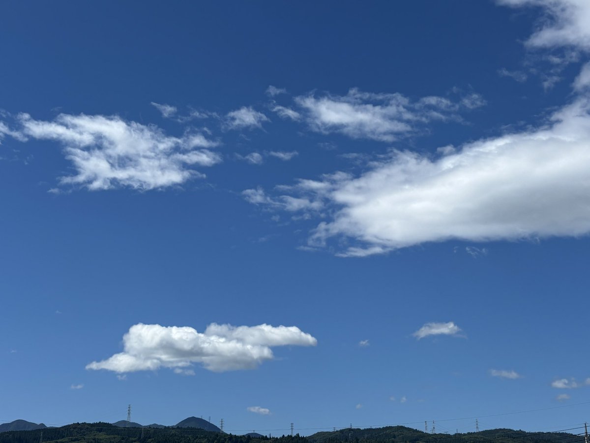 sakurakako24's tweet photo. お早うございます☀️
様々な環境、事情の中でも
感謝と希望を抱きながら🌈
今日の一日を過ごせますように✨ https://t.co/hYJRRn2jrf