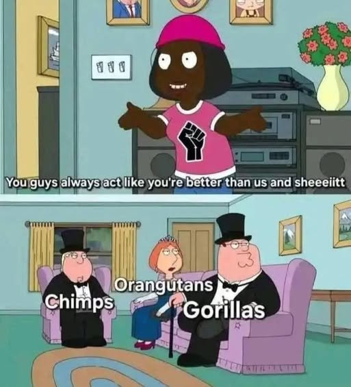 LegitimateSneed's tweet photo. @TheGhostReport I got those memes you ordered, pops https://t.co/xnHq2eH12y
