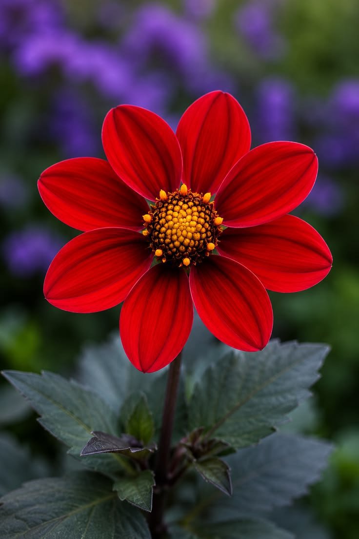 Flowers46i's tweet photo. https://t.co/yWu04tGTEC