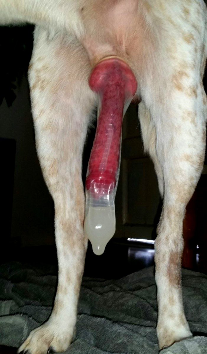 Melissa_Pawz's tweet photo. Both of them completely full… and still dripping with heat. https://t.co/4XL2cGj1tO