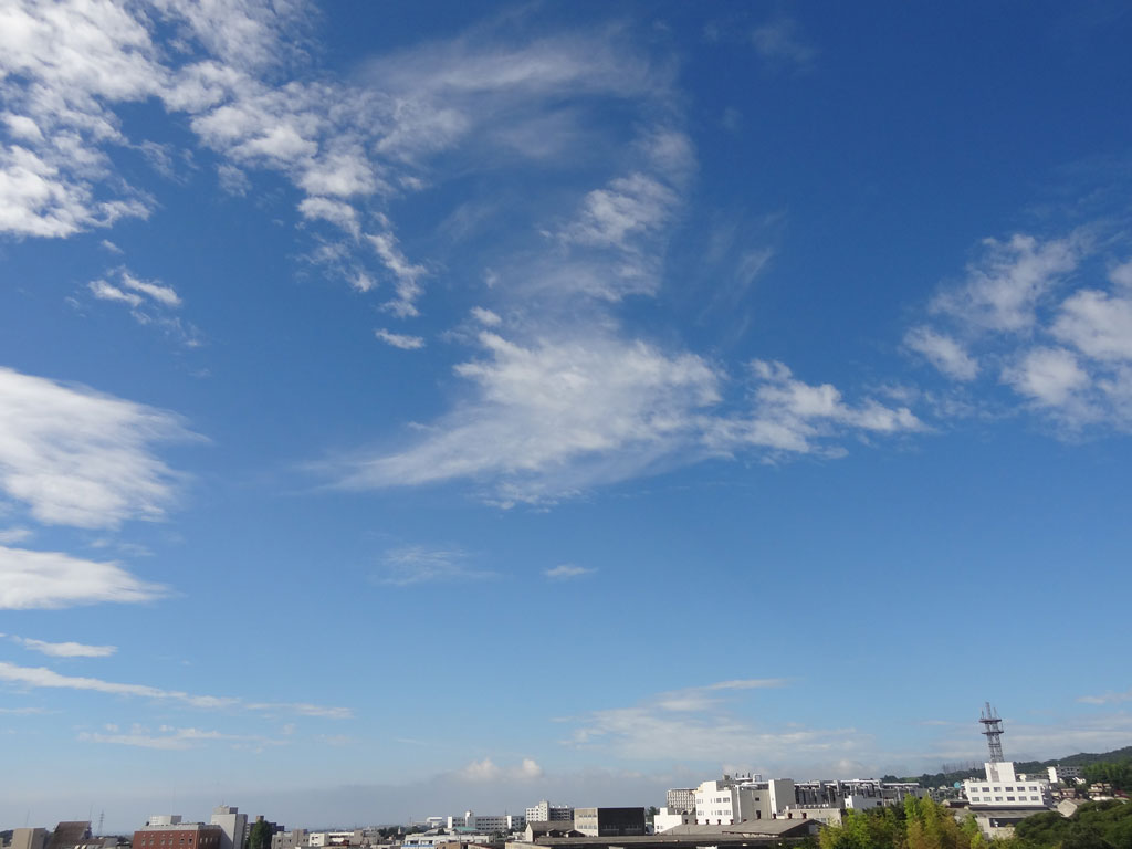 HitachiCity_BT's tweet photo. 【2026年07月29日09時の空】日立市役所は、晴れています。今日の日立市は、晴れますが、雲が広がりやすく、雨が降る可能性もあります（市役所での最高気温３３℃）。明日は、曇り時々晴れ 雨の可能性もある予想です(最低気温２３℃、最高気温３３℃）。#日立市天気 https://t.co/NgMGNa6CuY