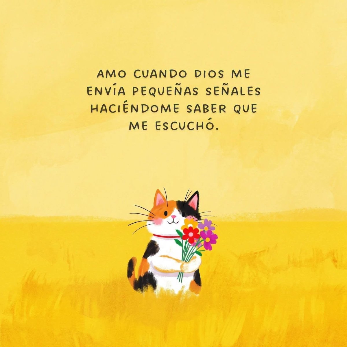 ManuSaenzVolvio's tweet photo. Gracias Señor!
🙏🏻 https://t.co/FgKJslLCAw