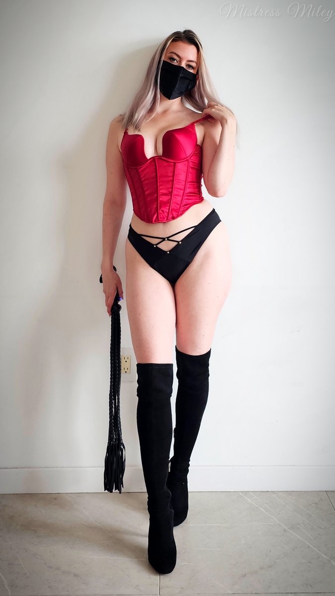 MileysManagerie's tweet photo. Stop dreaming, start serving. Custom clips bring your https://t.co/O9wUn9wvIp https://t.co/qdLLcuYkFh