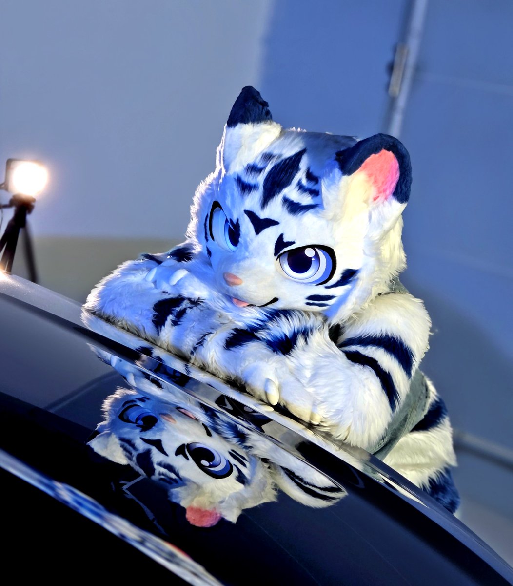 Chen_Fur's tweet photo. 웨ㅔㅔㅔㅔㅔ옳

📸 : @NightFury4S https://t.co/IiOUhxxroG