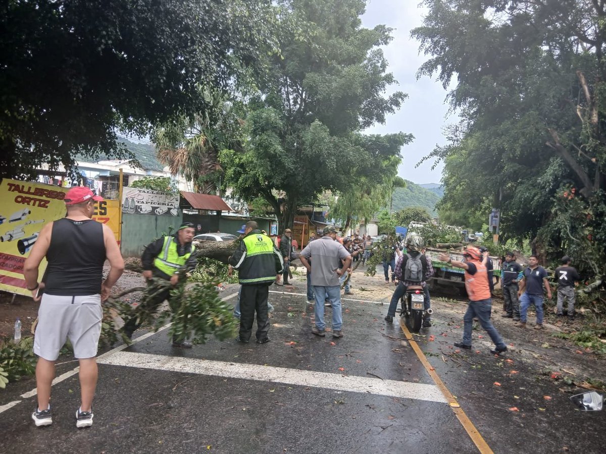 ConredGuatemala's tweet photo. #Guatemala Caída de árbol se registró en la carretera principal a Llano de la Virgen, Villa Canales, Guatemala. Personal municipal realizó los trabajos de limpieza de el área. El paso vehicular quedó liberado.

Fotografías: Sistema CONRED. https://t.co/L5aJOBwd6p