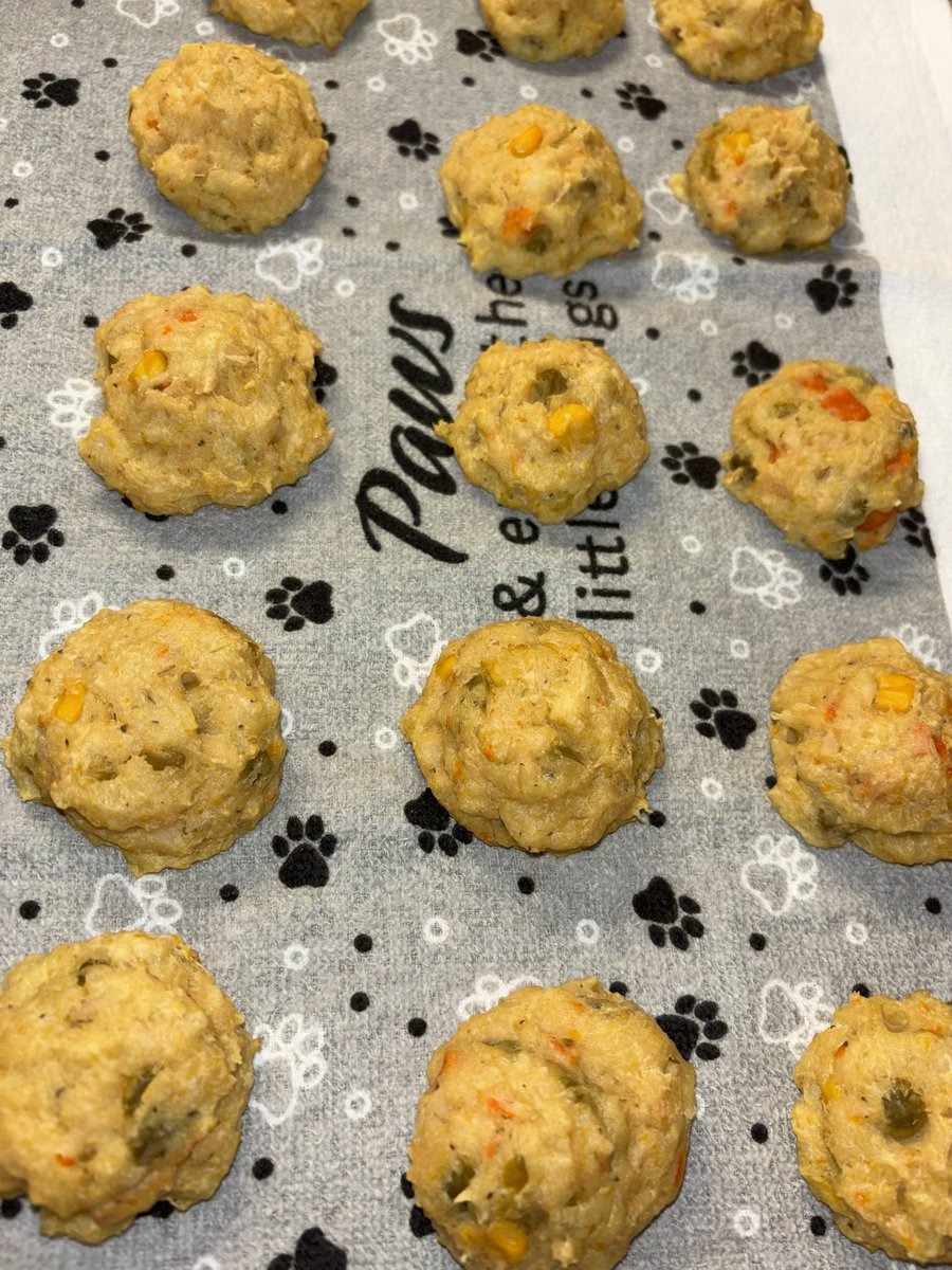 GhulehGraveyard's tweet photo. Mocha approved chicken pot pie cookies! Nothing is too good for my lil baby dog 💕 https://t.co/FHEPvwoeZu