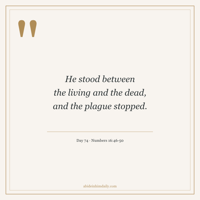 abidehimdaily's tweet photo. 🌿 "The next day" — after watching fire consume 250 people, Israel was grumbling again.

What does your mouth do 24 hours after an encounter with God? Aaron ran toward the plague anyway. He stood between the living and the dead.

Day 74 | Numbers 16:41-48
https://t.co/vfAB4Solfa https://t.co/NV8s3jqQ4j