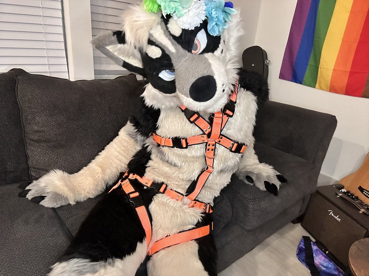 That1Ziggy's tweet photo. Bark bark https://t.co/v281mghqlN