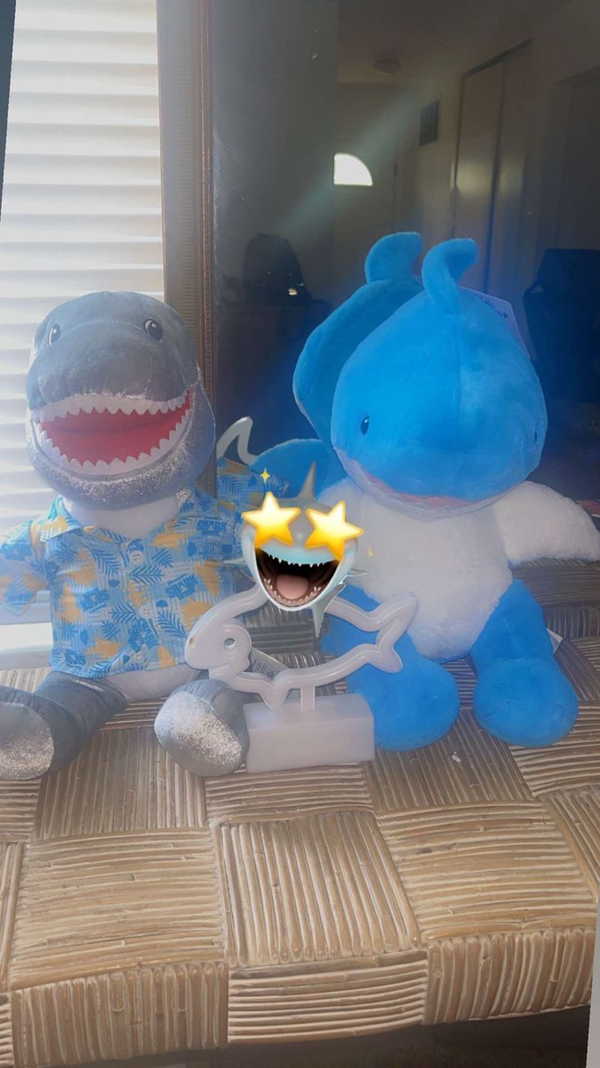 MikeIcon7's tweet photo. @SharkWeek It’s shark time!!! @Discovery https://t.co/FHDZ07mzzo
