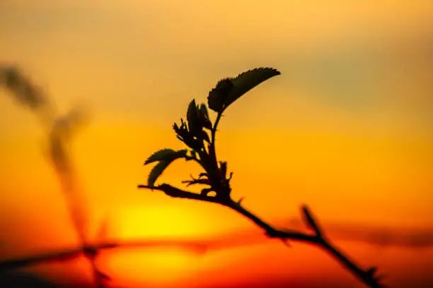 RadioSSp's tweet photo. 🌜"Vive sin excusas. Ama sin remordimientos.
La vida es impredecible y eso es lo que la hace hermosa. No podemos saber qué nos depara el futuro, así que todo es posible".🌛
✨️Buenas noches✨️ https://t.co/mVibofF6iT