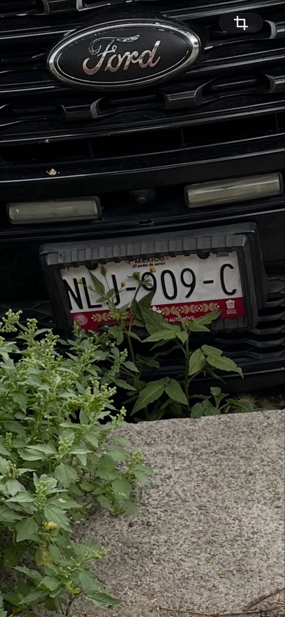 Megadeth_heavy's tweet photo. @SEDEMA_CDMX sé que las placas de circulación son del Estado de México hago de conocimiento multen al dueño por alterar las placas de identificación vehicular https://t.co/cNH9XbusMJ