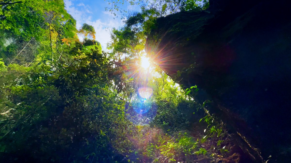 Xzilly778's tweet photo. ☀🐤 https://t.co/KoCAbW79Z6