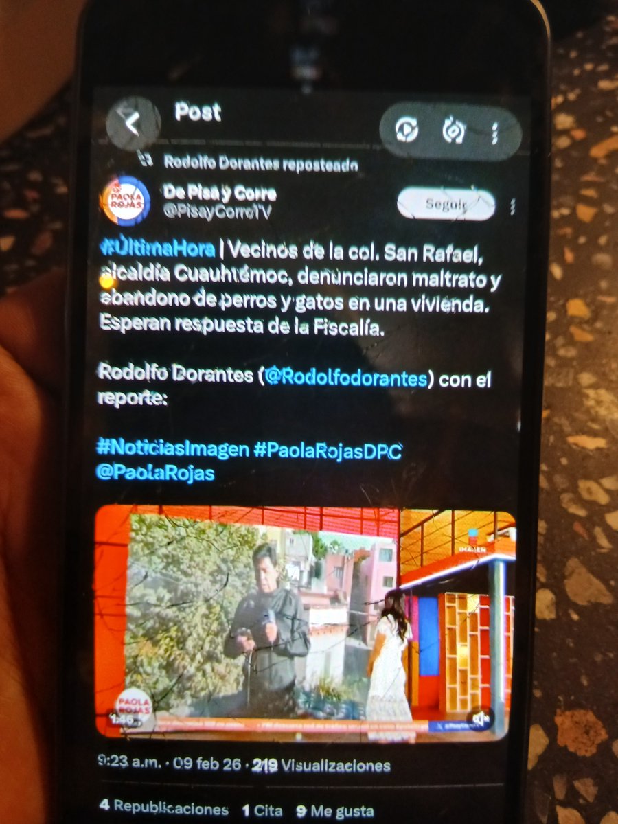 GatitoParis's tweet photo. @siete_letras @LaSagaOficial Hola, querido @siete_letras Sólo te pido una arrobada a los inútiles de @FiscaliaCDMX Esa vez que me ayudaste, vinieron ministeriales. Pero ahora hay gatos dentro muriendo de hambre, el delincuente ese los ababandonó ahí y ni los rescatan ni avanza la carpeta.  Perdóname https://t.co/Wq0CvNBR7Z