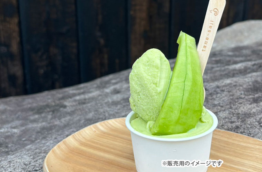kishinsen_fan's tweet photo. 姫新線に乗って「網干メロン」を食べに行こう！🍈
JR姫路駅から徒歩２分「姫路網干メロンフェア」
網干メロンジェラートの試食もできるので、暑い夏にはぴったり🍨
詳しくはこちら↓
https://t.co/L0rH6OmDiH

開催日：７月30日（木）10時～14時
場所：姫路駅「北にぎわい交流広場」中央地下通路 https://t.co/wpjZt0mbnK