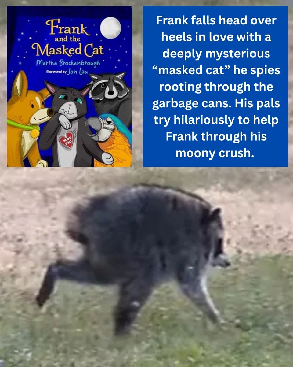 LaurieThompson's tweet photo. If your young readers are obsessed with #jimothy, check out these children's books featuring raccoons--all by local authors!
#raccoon #raccoonlove #raccoonlover #seattle #seattlelife https://t.co/g50m2GD4gu