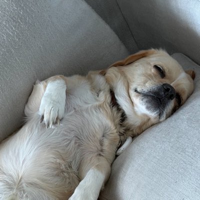 glenndocring's tweet photo. #NewProfilePic https://t.co/jlz4XpQPuu