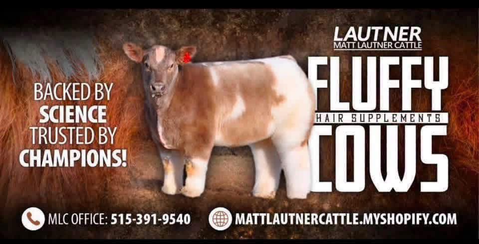 mattlautner's tweet photo. #GrandChampion #Ohio
Congrats Victoria Kovacs!
Grand Champion Open Jackpot Breeding Ewe At Ohio State Fair Tuesday Night
#FluffyCowsCustomer #HairSupplements
#AllSpecies #TrustedByChampions https://t.co/kWrXcFof4K