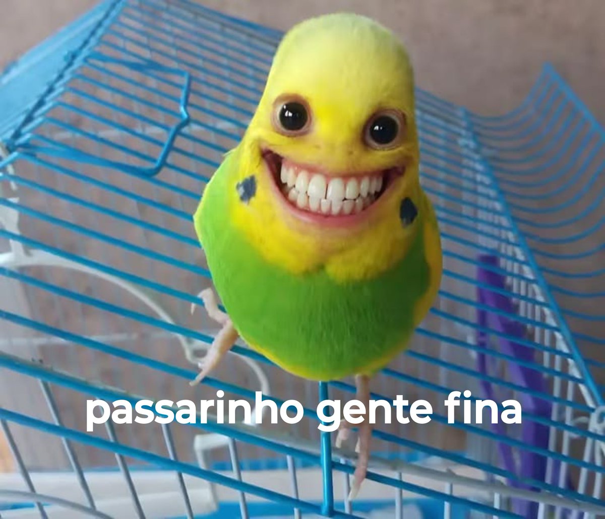 putzbeazuda's tweet photo. i lov u fine little bird https://t.co/cdsTotZk6Q