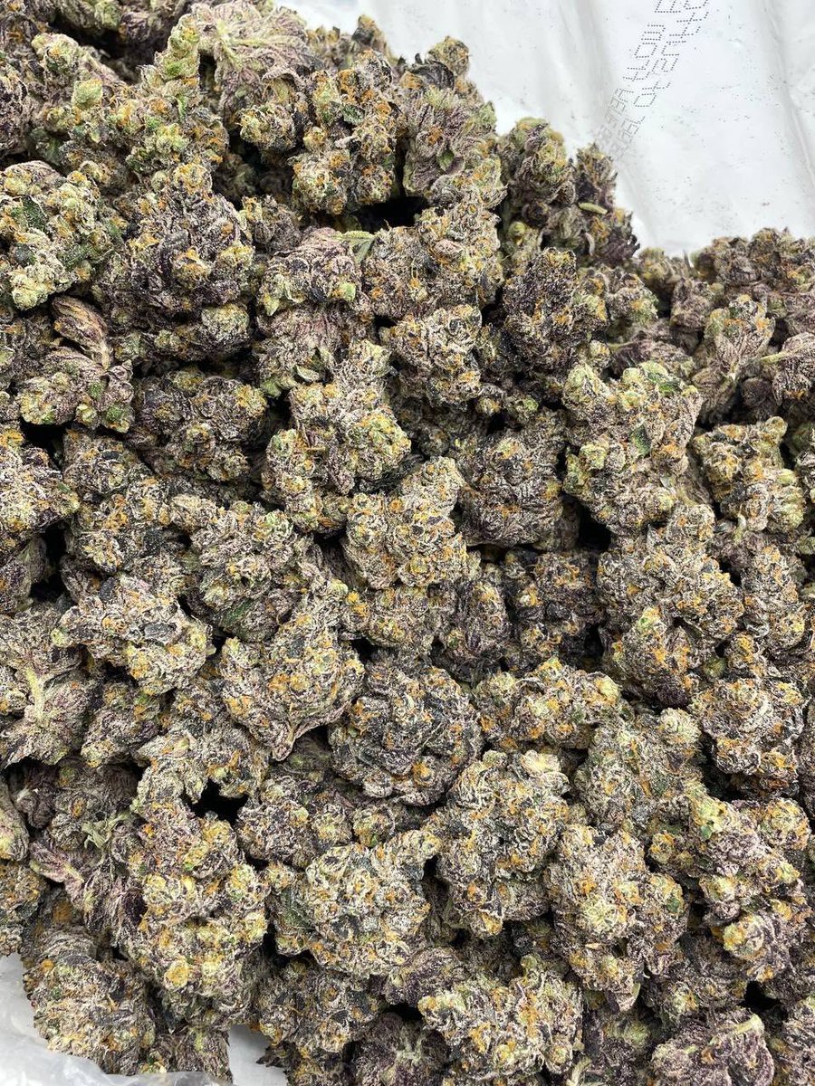 snoopweedplug's tweet photo. ✅️Boa noite família, estamos on-line para pedidos e entregas.

Cardápio aqui: https://t.co/RDS623Ipa8

⏰ Horários de funcionamento:

📍Mercadorias a pronta entrega no estado de São Paulo: até 00:30!
📍Entregas fora do estado de São Paulo: até 22:30!

#corre #sp #rj #maconha #erva #delivery