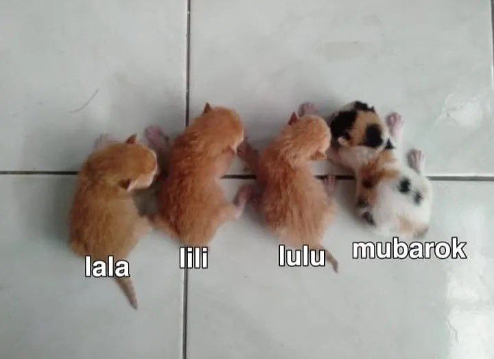 itsufika tweet picture